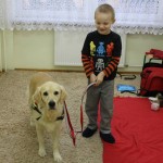 ddogoterapia w przedszkolu